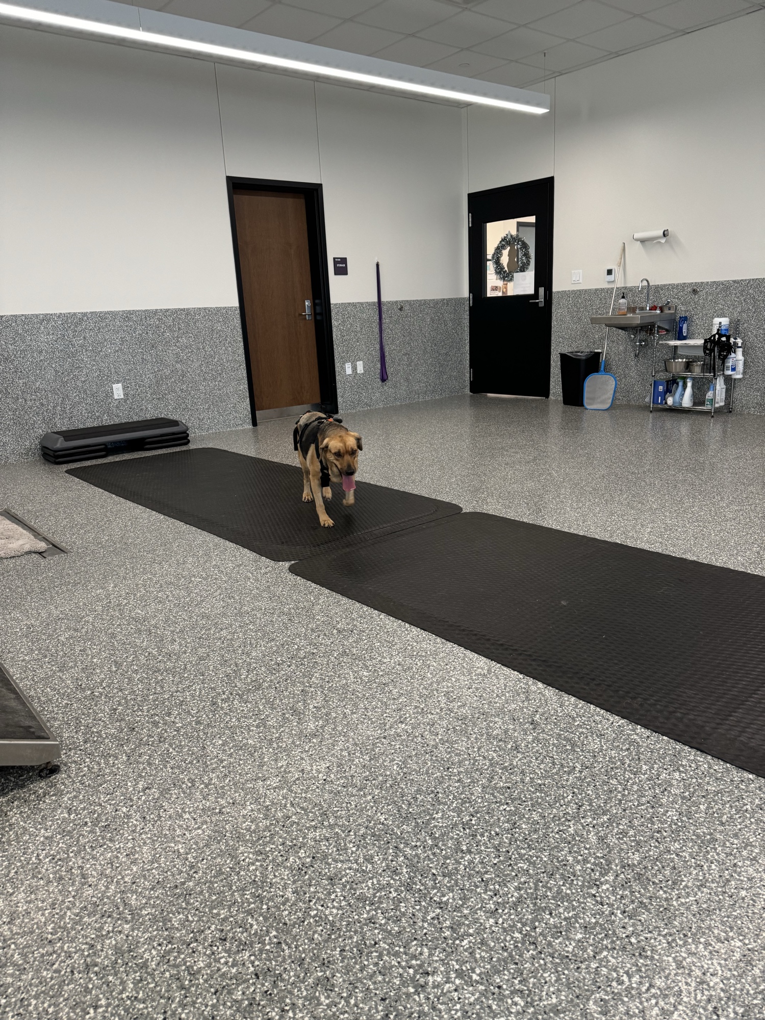 Clinical rehabilitation facility — professional care environment