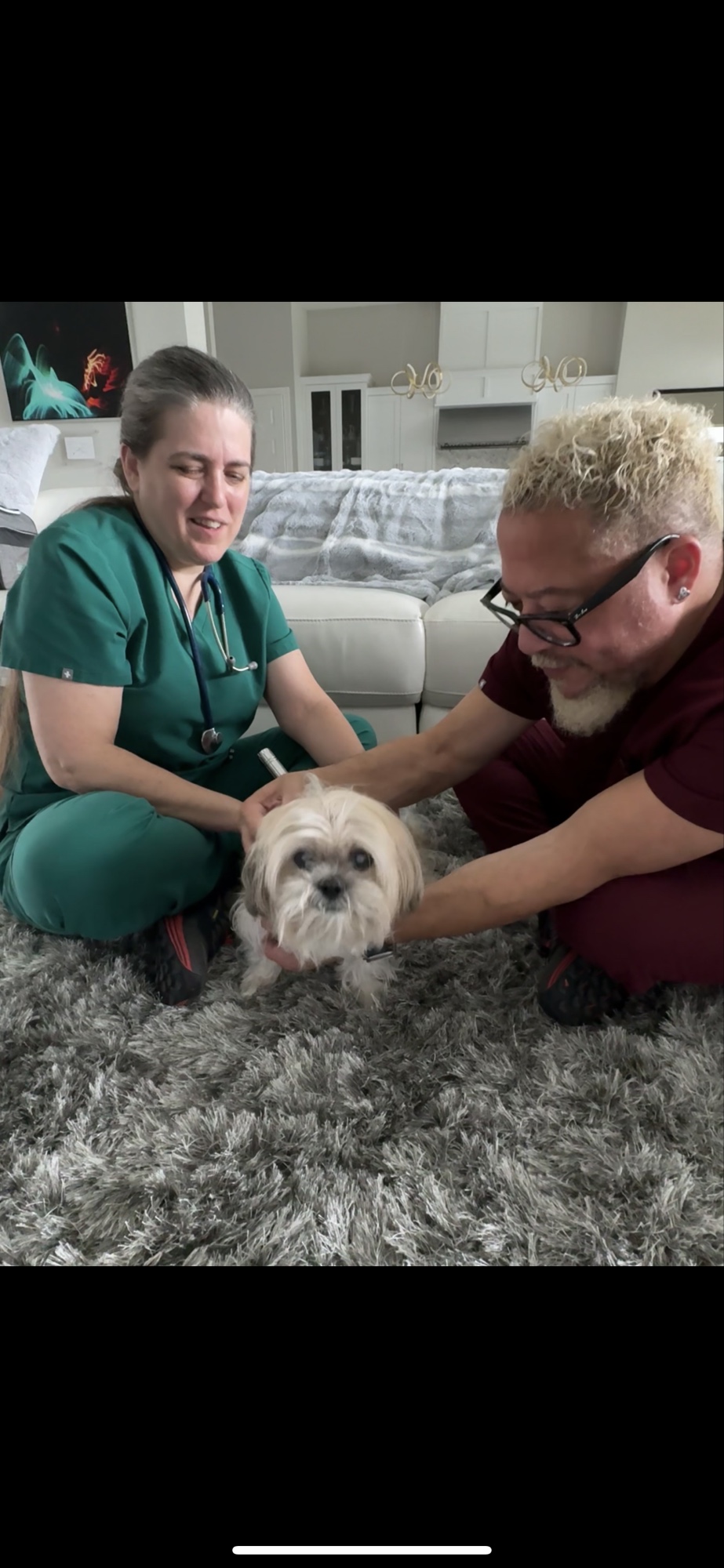 In-home Tui-na consultation with small dog